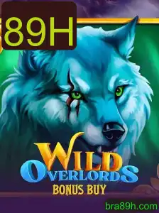 WildOverlordsBonusBuy: Uma Experiência de Jogo de Aventuras Selvagens